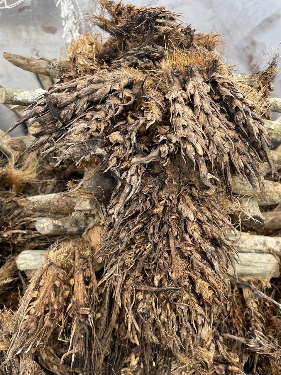 Crop residue