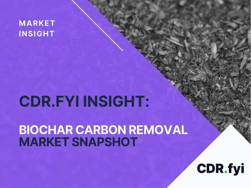Biochar Carbon Removal Market Snapshot 2025