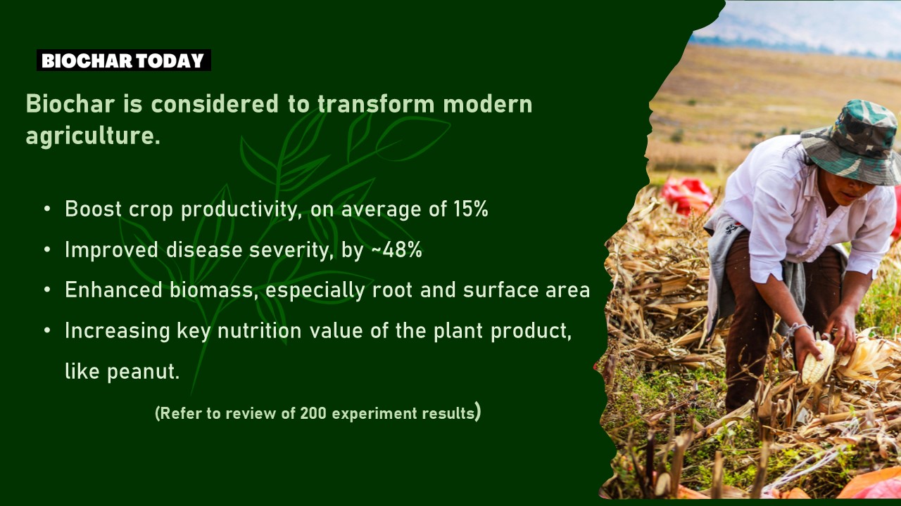 Biochar is considered to transform modern agriculture