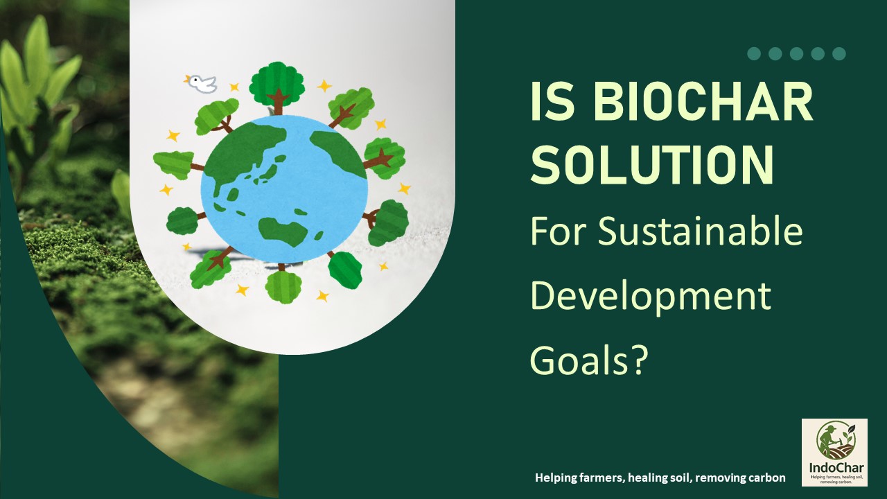 Biochar for sustainable development